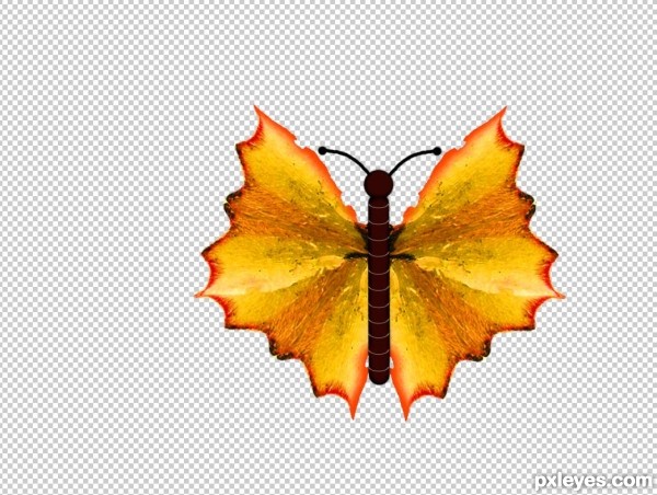 Creation of Butterfly: Step 15